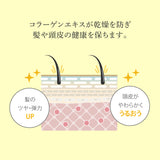 【大容量】アースハート【詰め替え】アクアゼロ ヘアクレンジング シャンプー (1000ml) / ヘアパック (960g) 単品