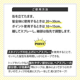 【美容師監修】アースハート スタイリングスプレー(エクストラハード / カールスタイル)200g